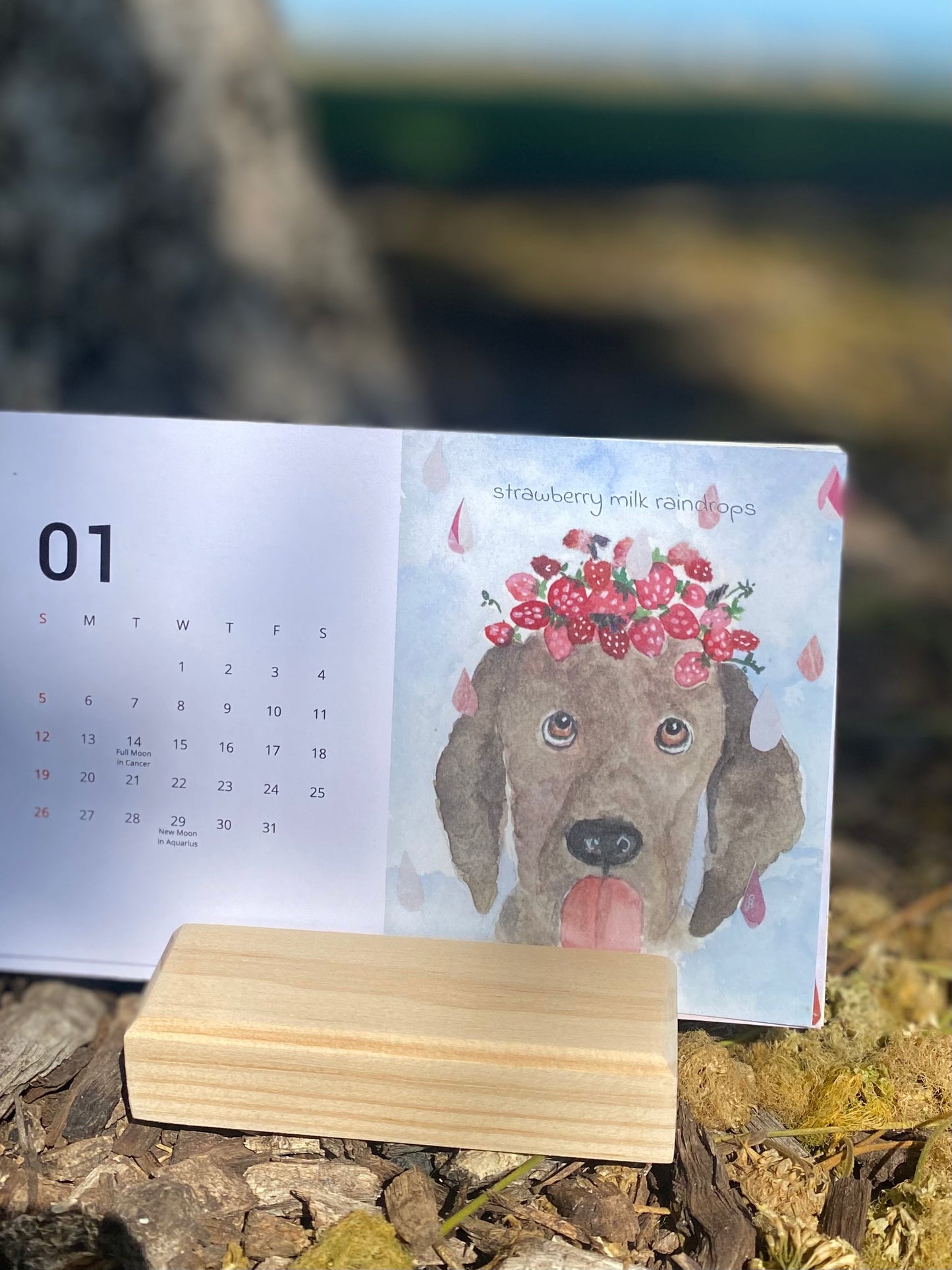 2025 desk calendar