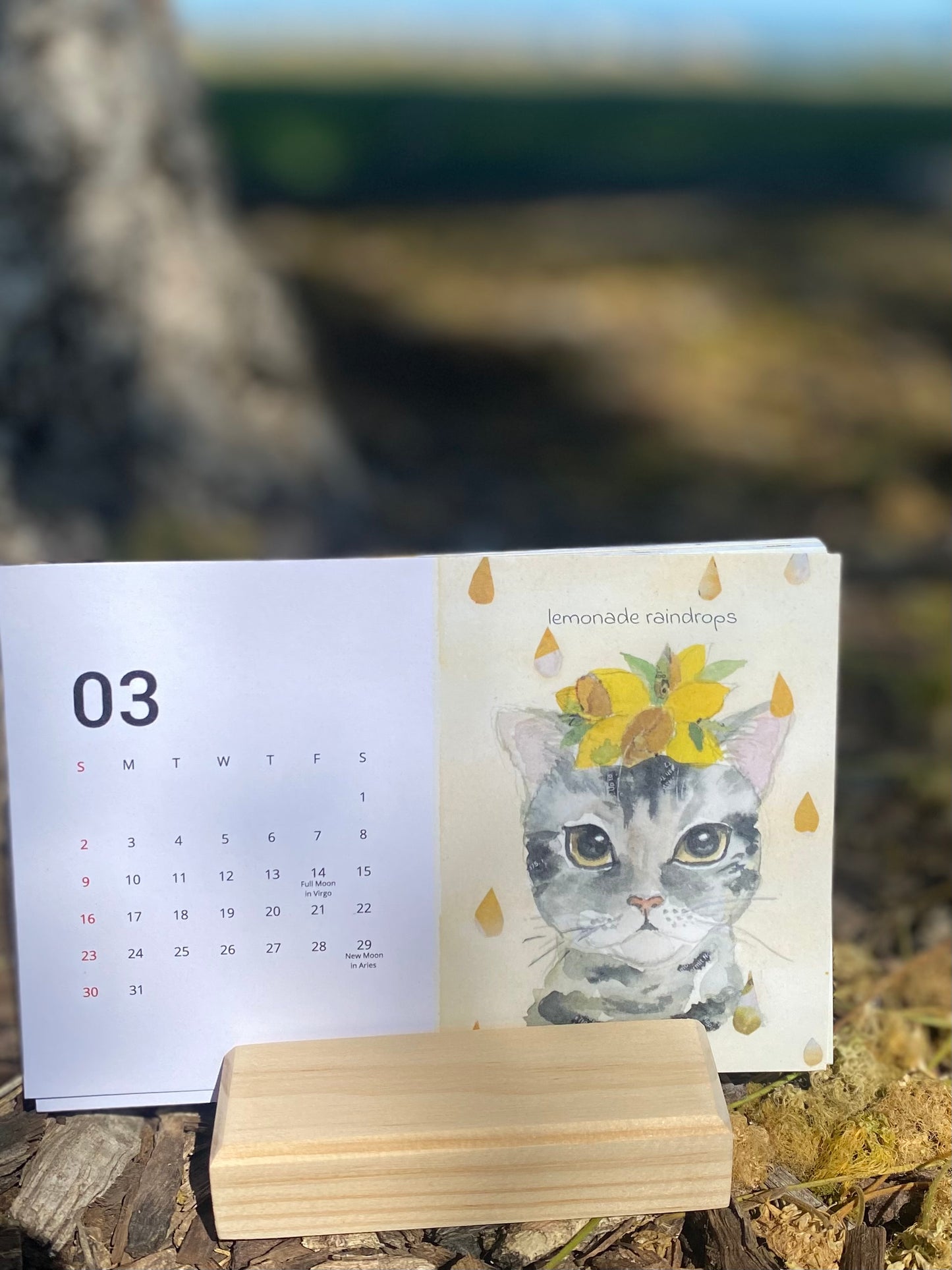 2025 desk calendar